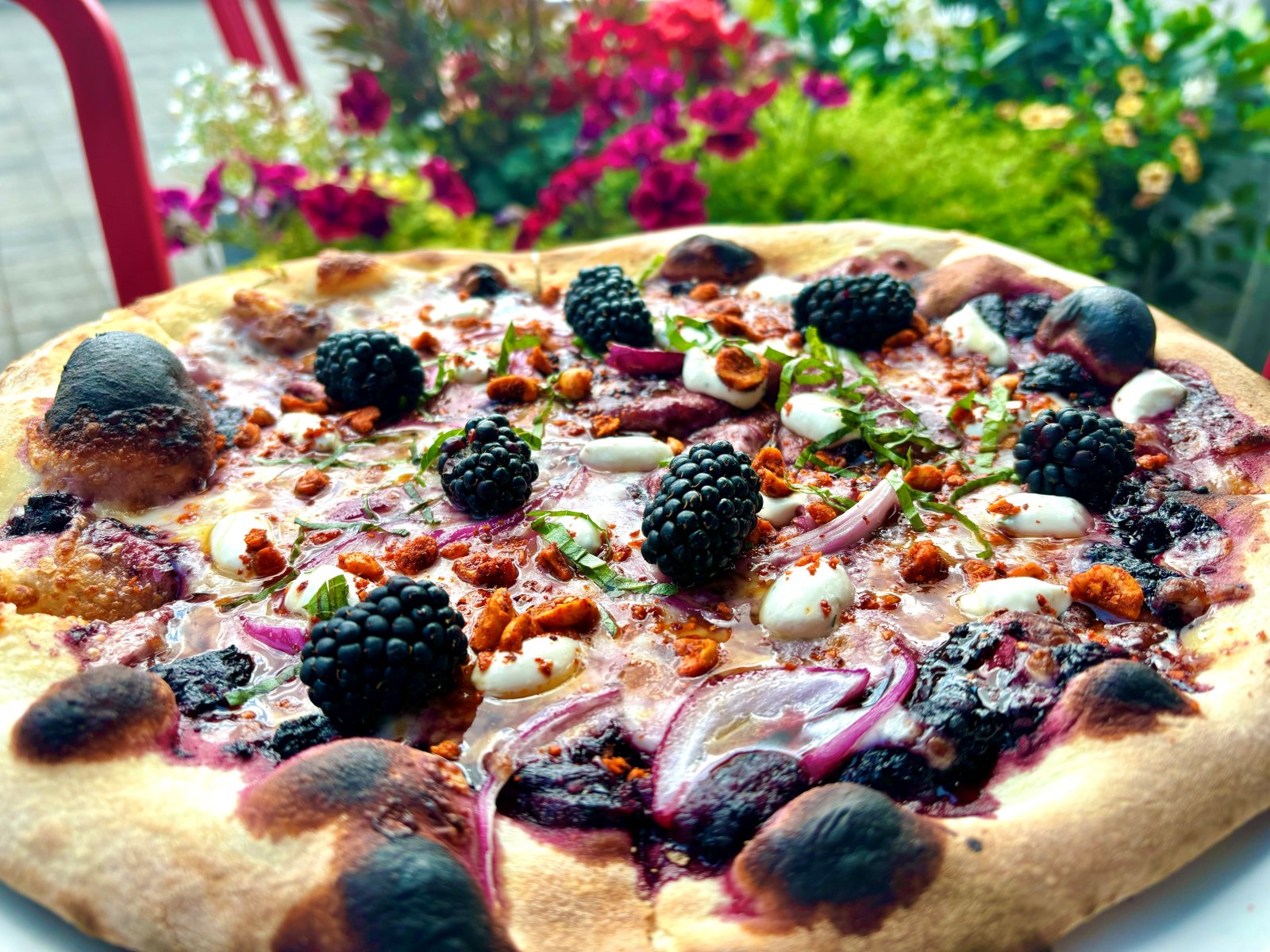 slideshow photo number 6