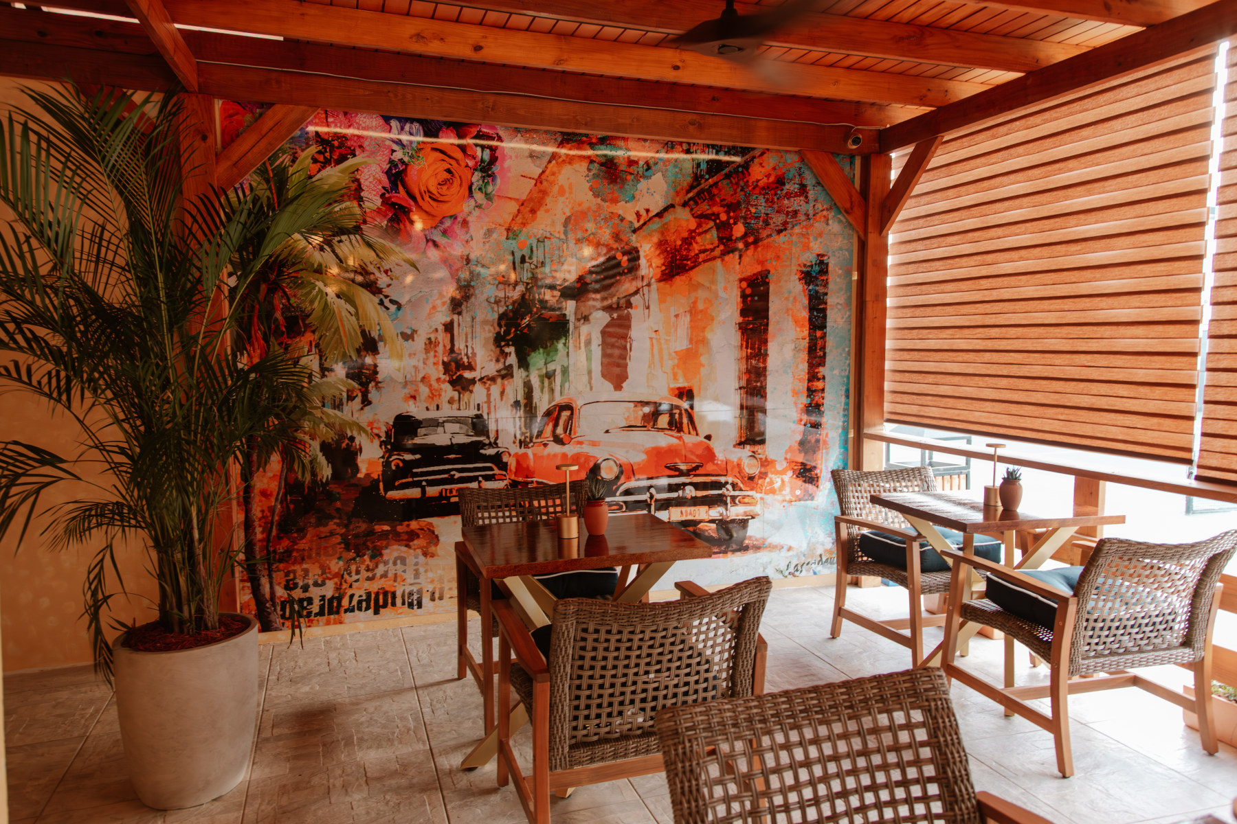 slideshow photo number 4