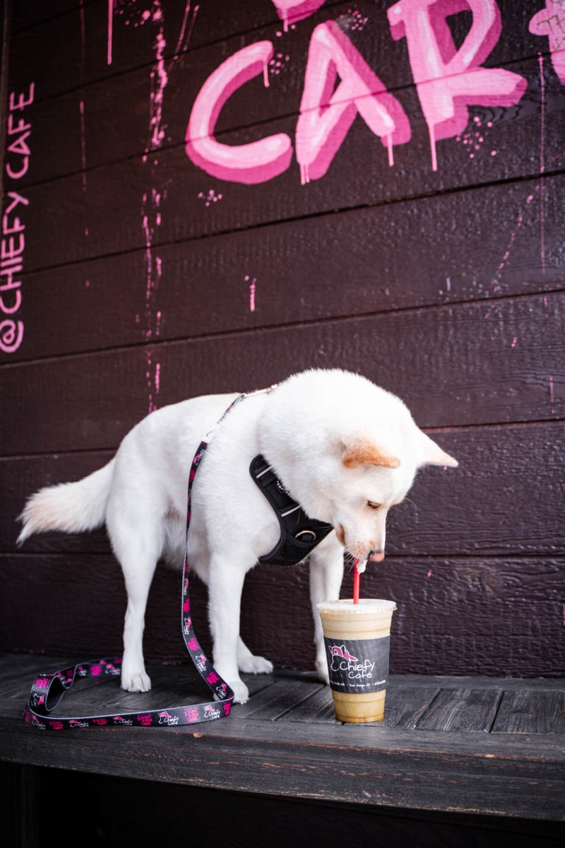 slideshow photo number 4