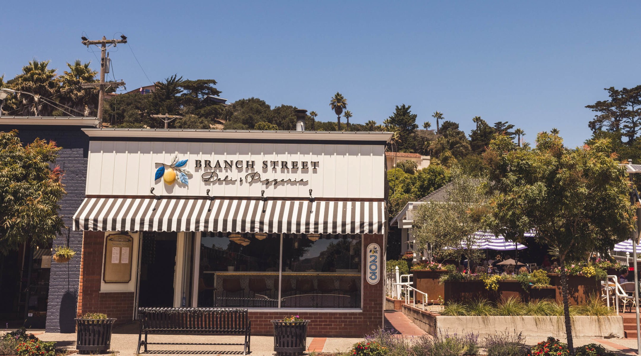 slideshow photo number 1