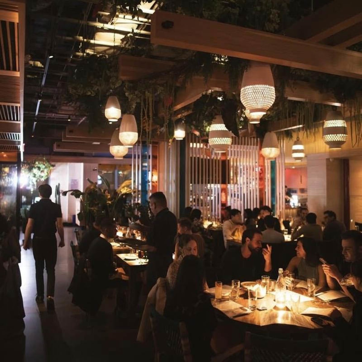 slideshow photo number 5