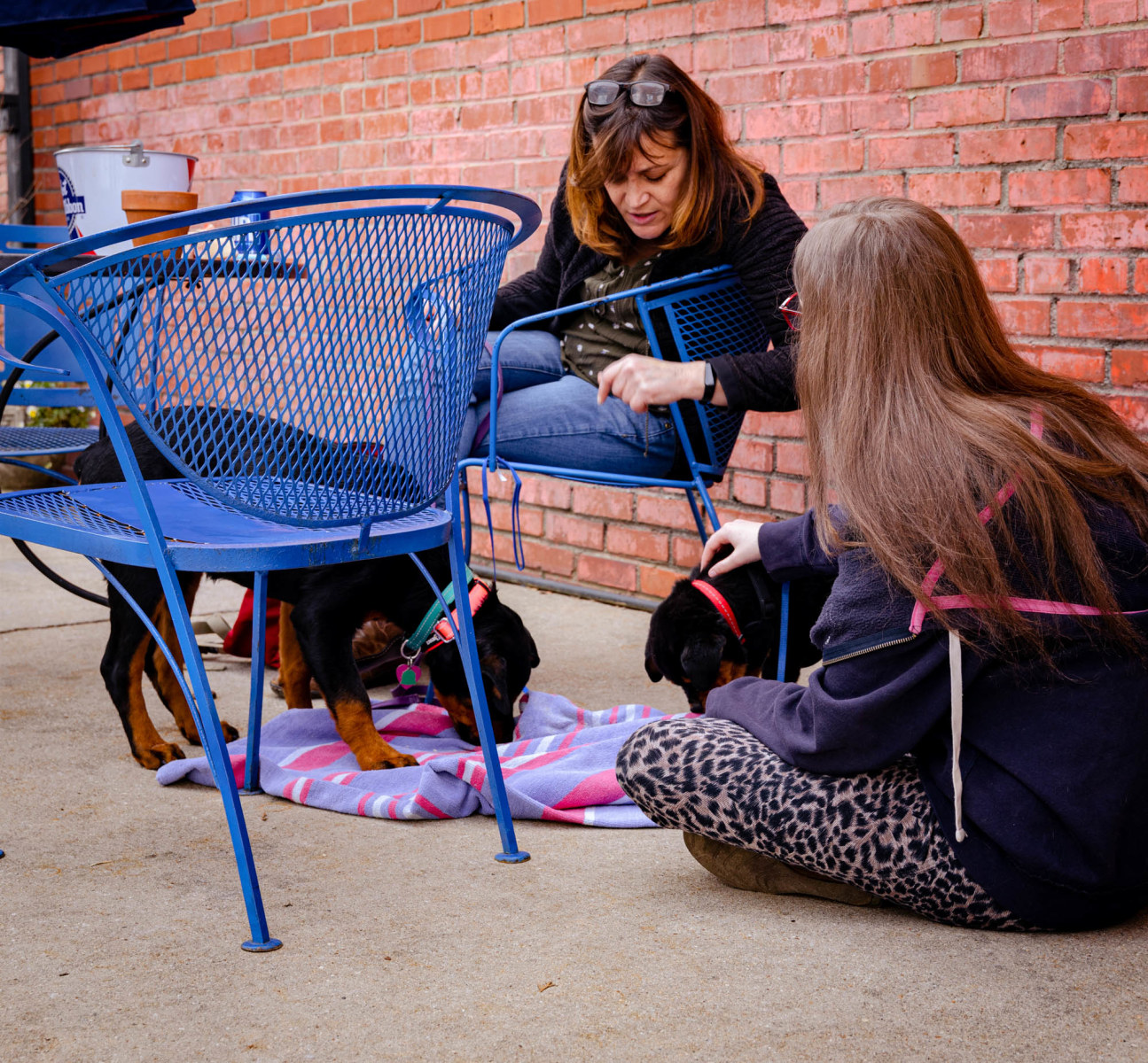 slideshow photo number 2