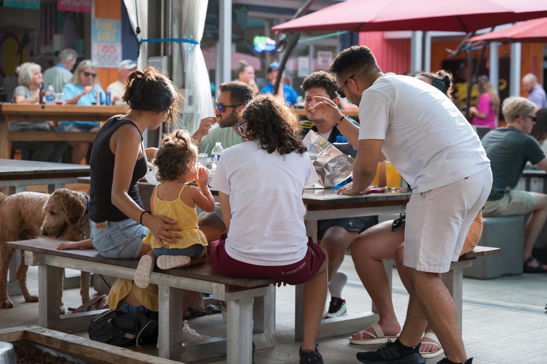 slideshow photo number 5