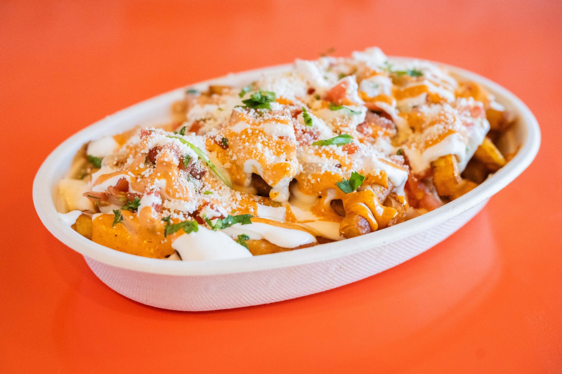 slideshow photo number 3