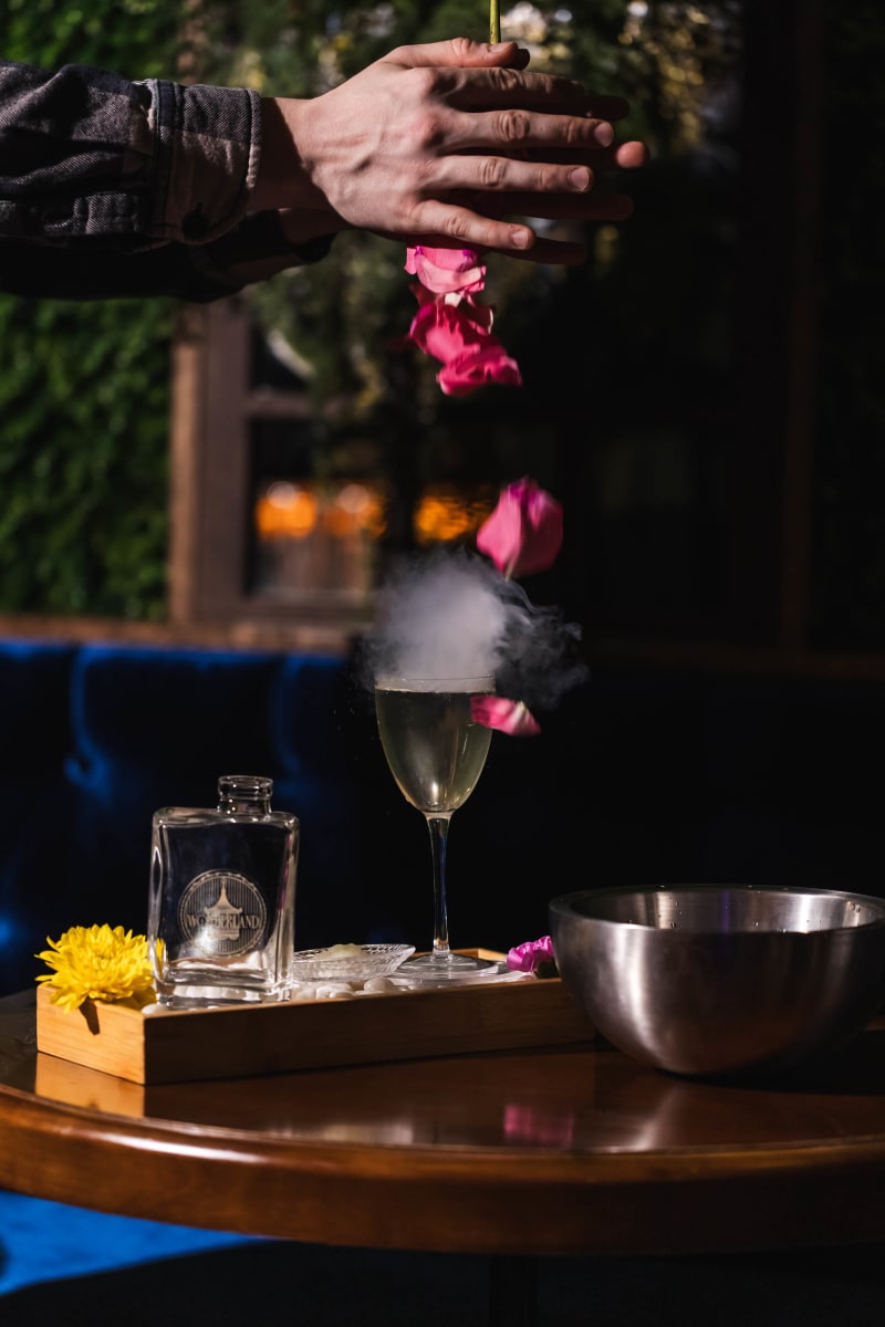 slideshow photo number 6