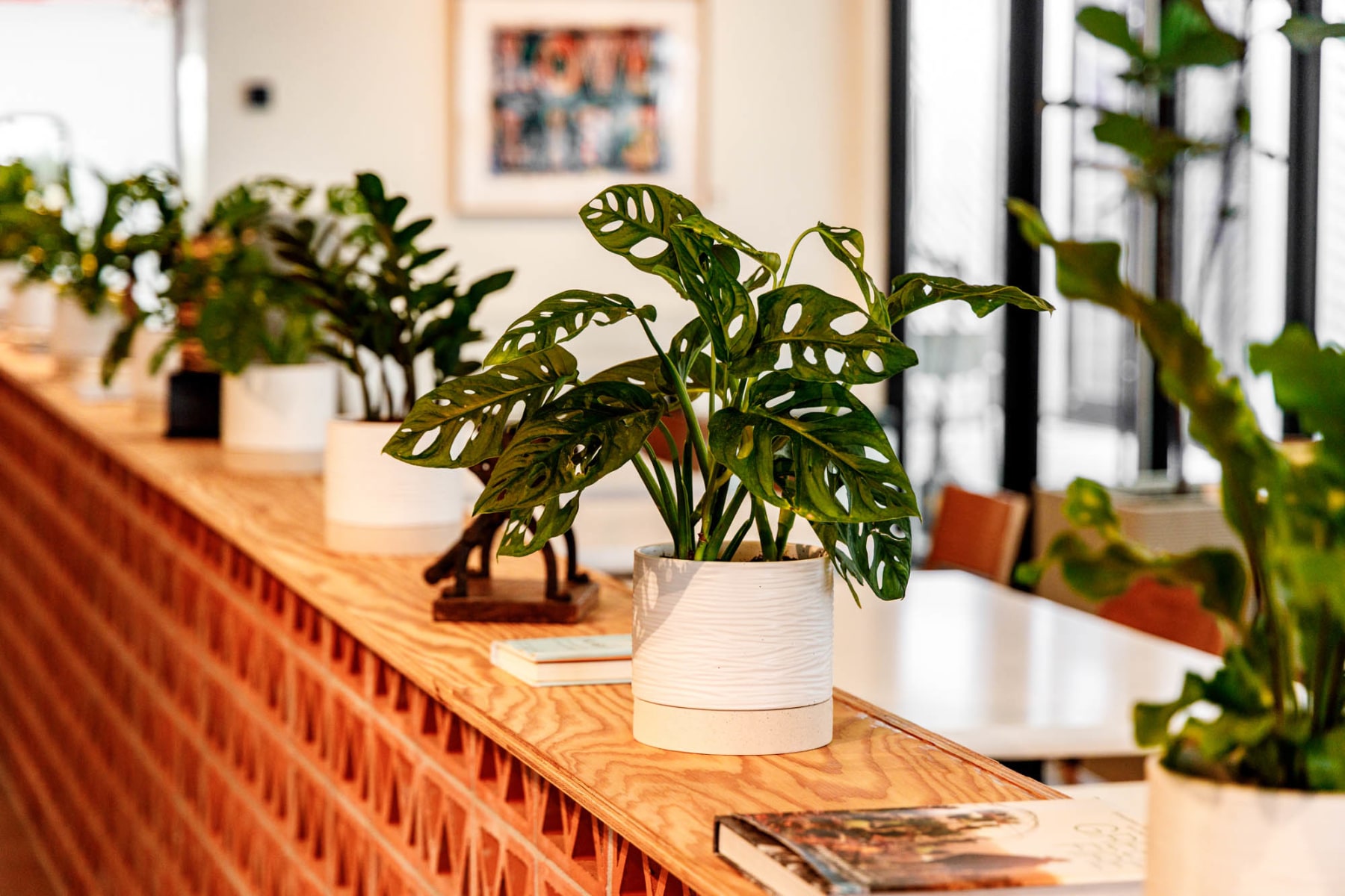 slideshow photo number 2