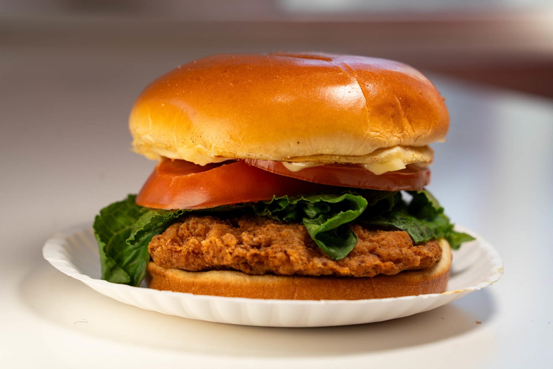 slideshow photo number 3