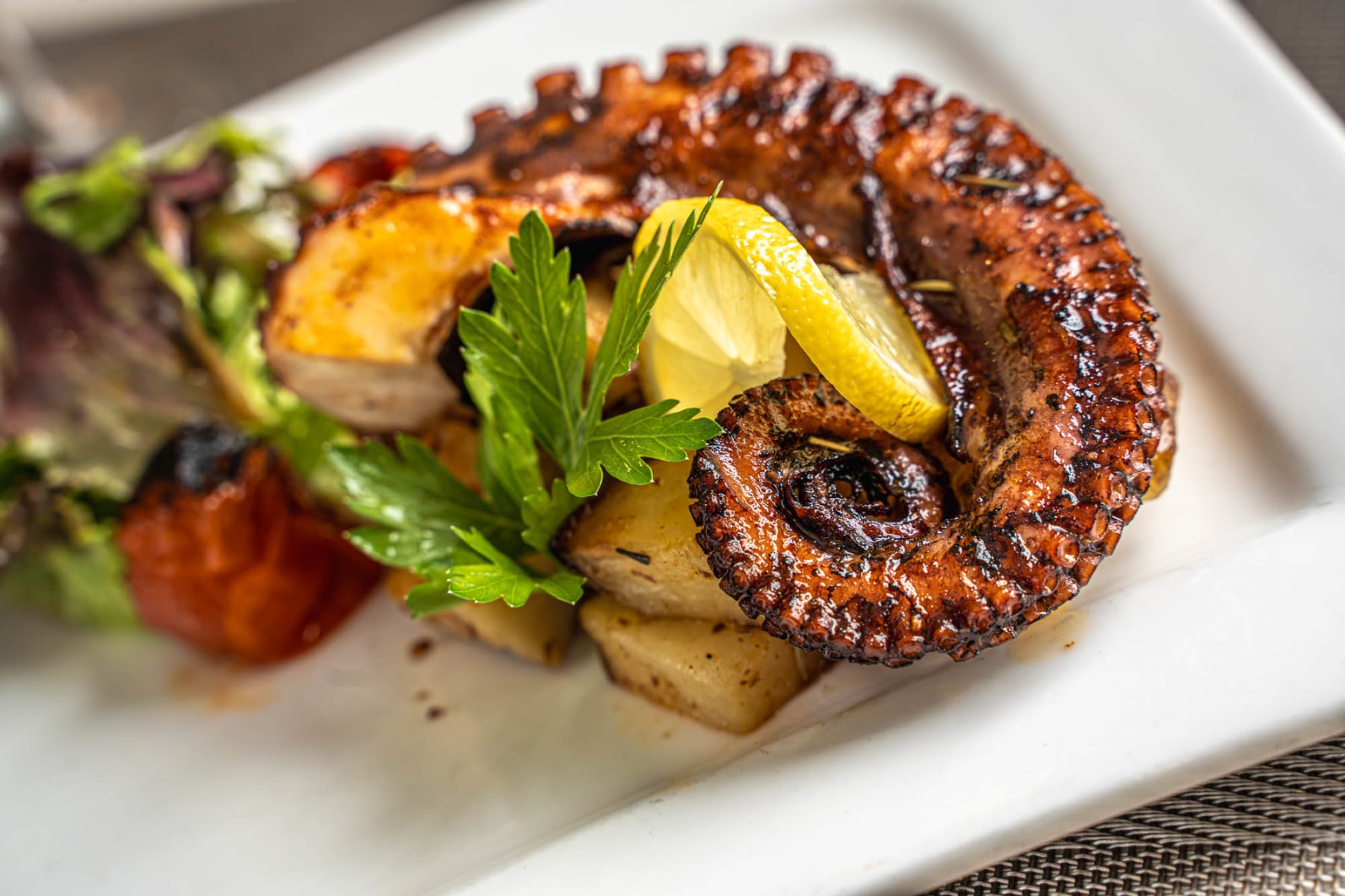 slideshow photo number 4