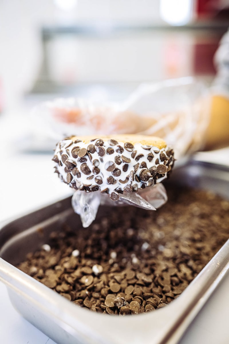 Cake and Cone - East Rutherford, East Rutherford, NJ