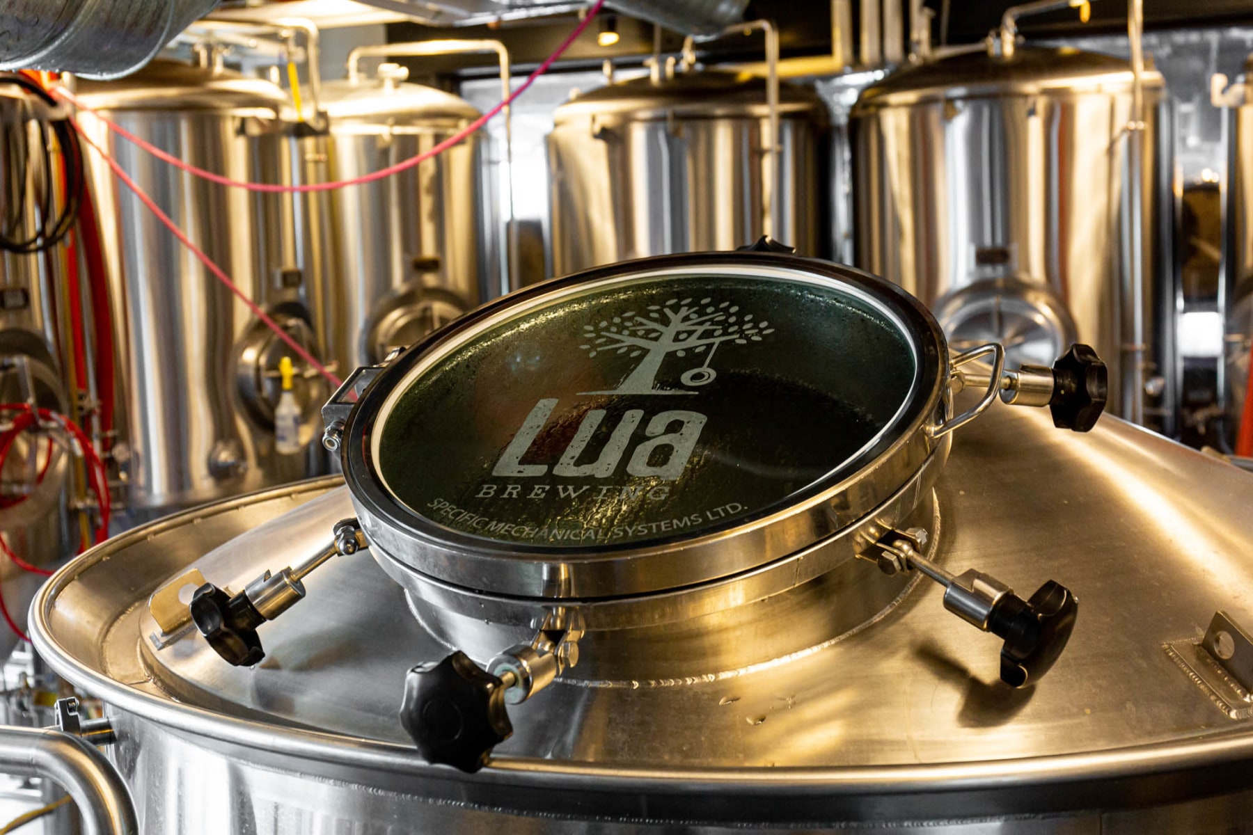 Must-Try Brewery in Des Moines, IA | Lua Brewing