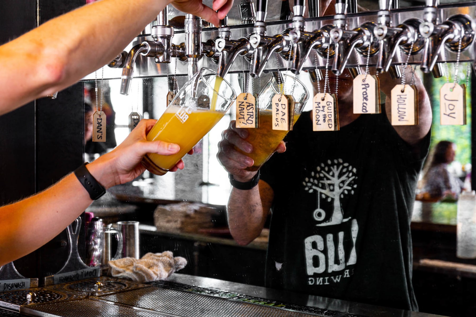 Must-Try Brewery in Des Moines, IA | Lua Brewing