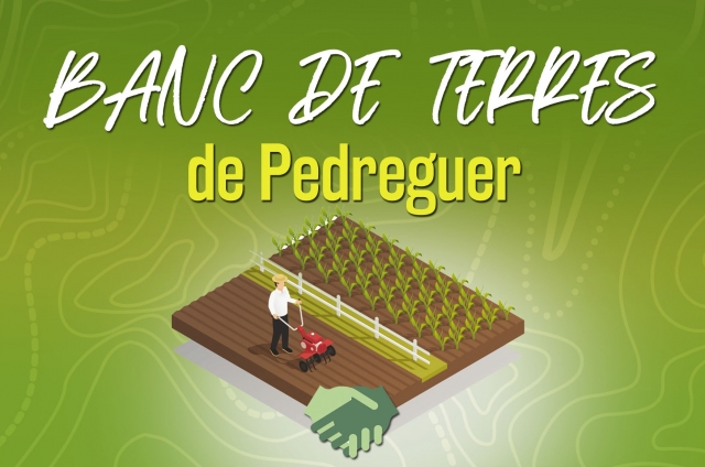 BANC DE TERRES DE PEDREGUER