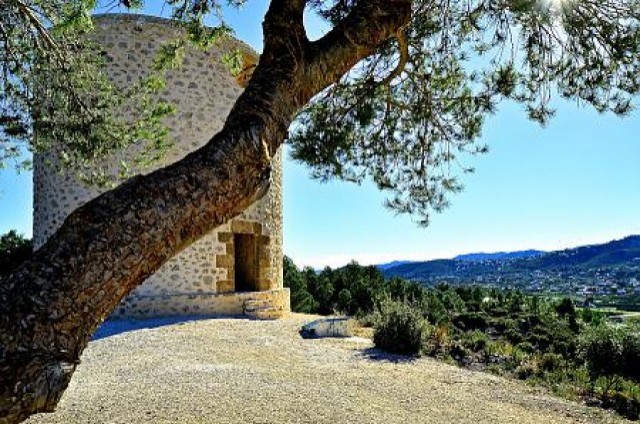 VISITES GUIADES A PEDREGUER - RUTA BOTÀNICA