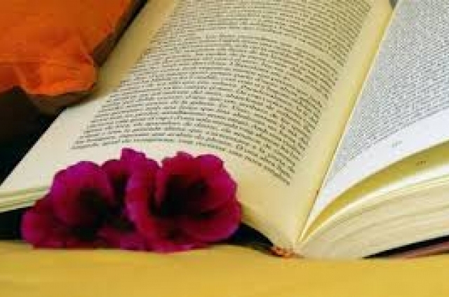 LLIBRES. Presentació del pemari