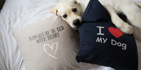 Gift Ideas for Dog Lovers