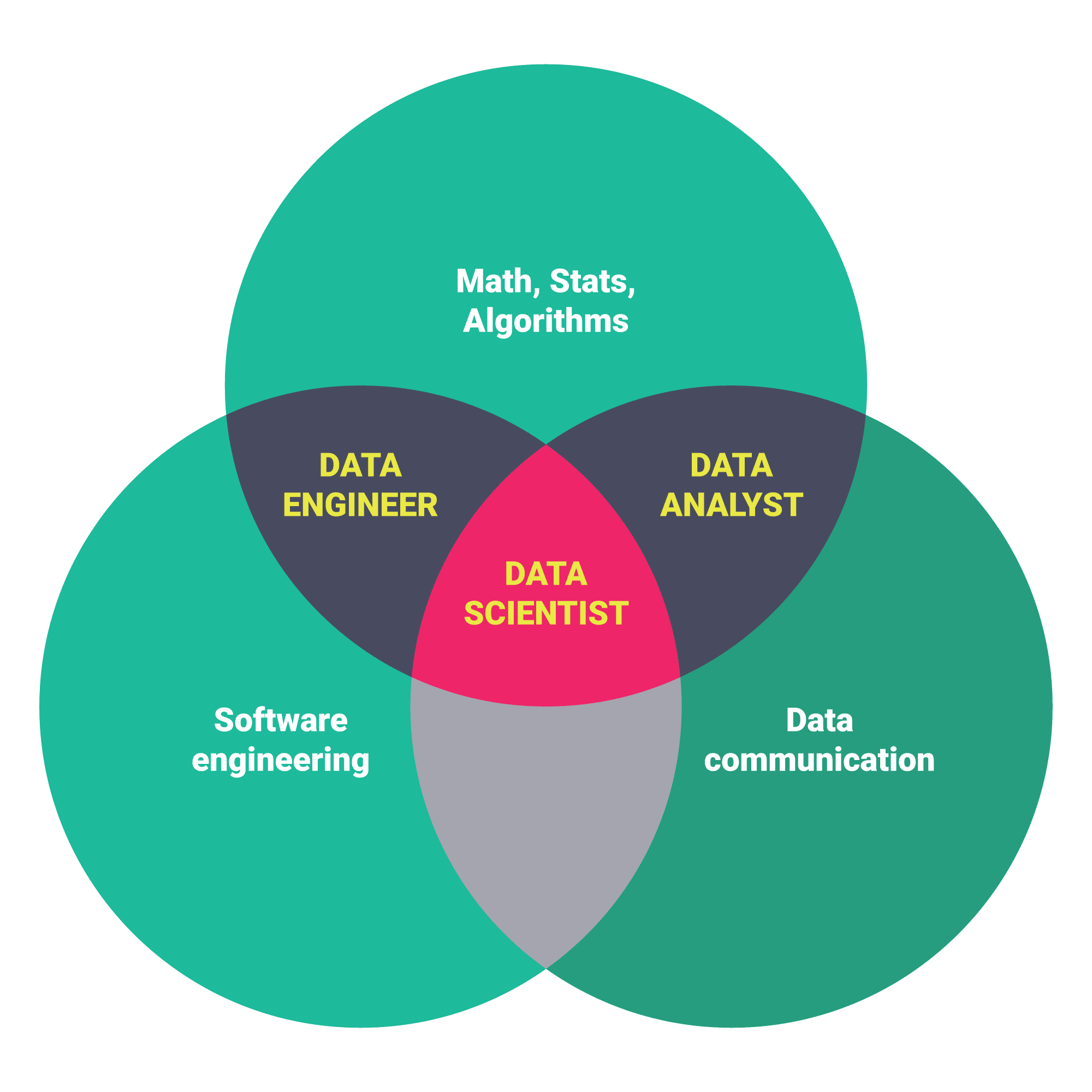 essay about data science