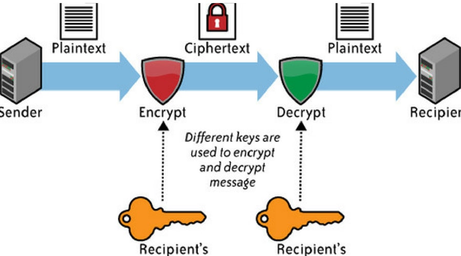 cryptojs encrypt with key