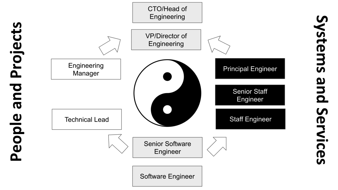 The Career Path of a Software Engineer: How to Get a Promotion |  Springboard Blog