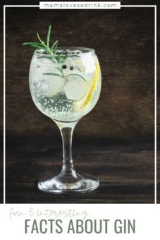 Dry Gin