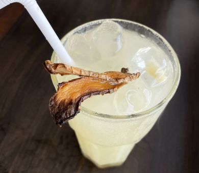 HOME MADE GINGER BEER