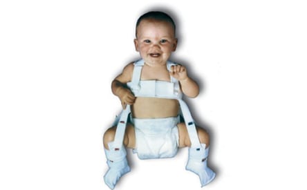 Wheaton Pavlik Harness img