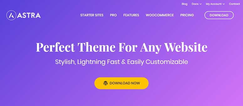 Filipino web developer Astra wordpress themes