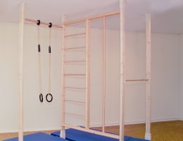 KletterDschungel Einzelwange mit Druckteilen