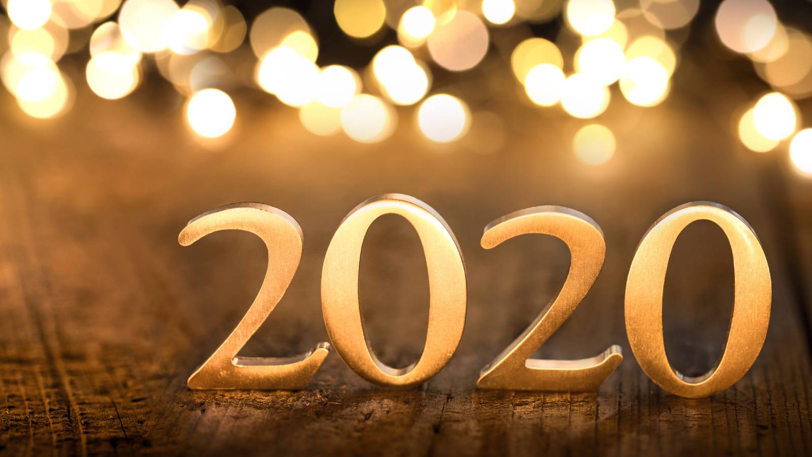 Looking back on an extraordinary year - Sprout.ai