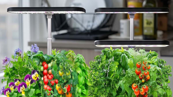 Three $40 - 50 Hydroponic Gardens Compared: Which to Buy