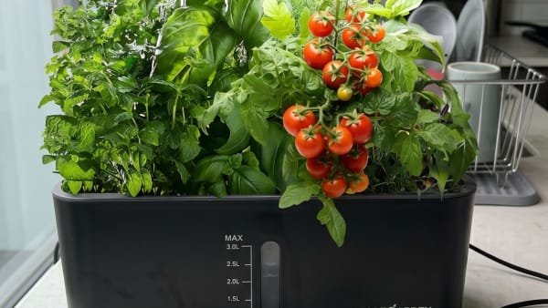Ahopegarden Hydroponic Garden Review: What Buyers Should Know