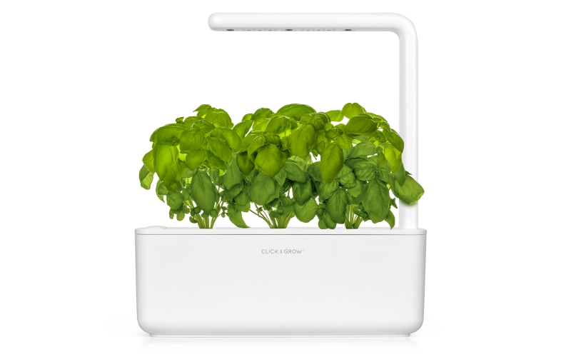 Click & Grow Smart Garden 3 with fresh basil growing