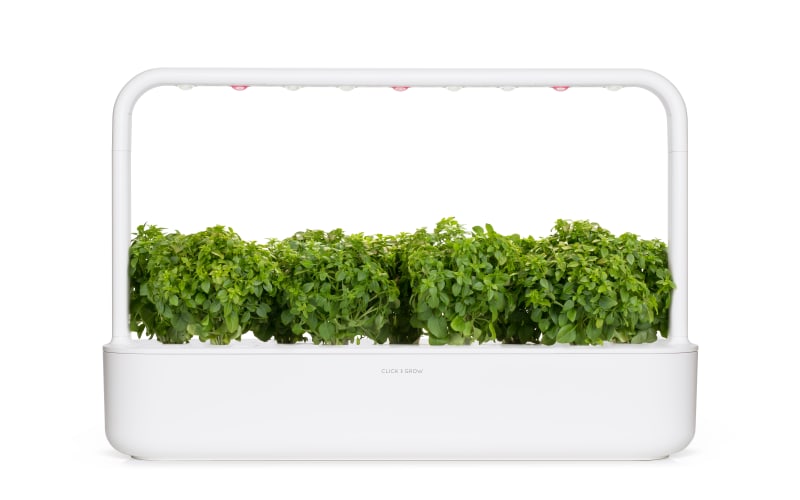 Click & Grow Smart Garden 9 with dwarf basil growing in all nine pods
