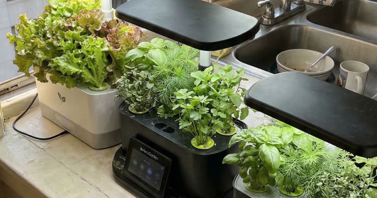 AeroGarden Bounty vs Harvest: 9 Pods and 30W Light Worth the Extra $50?