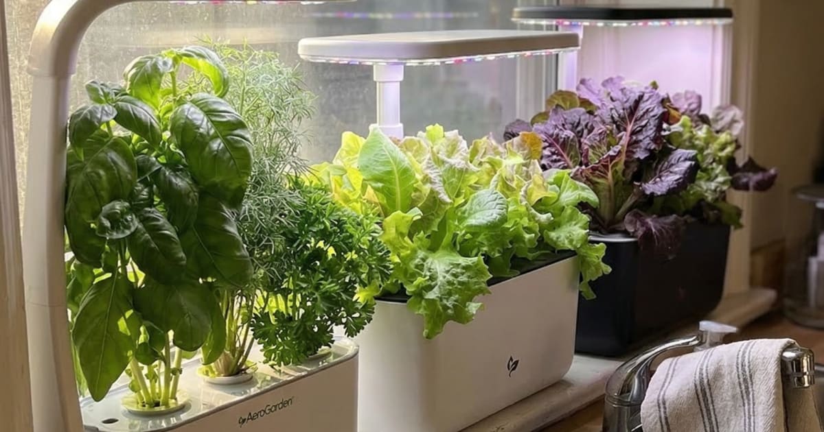 AeroGarden Sprout vs Harvest: Which One Actually Grows Better Herbs? (8-Week Test)