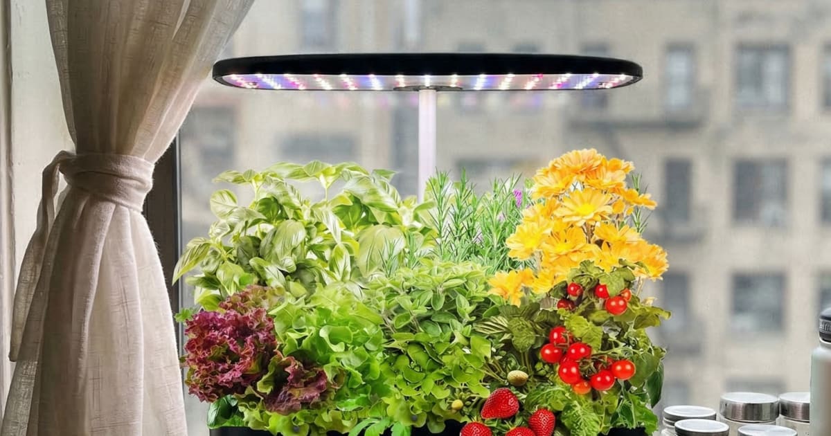 The Real Cost of Running a Countertop Hydroponic Garden (It's Not Just the Price Tag)
