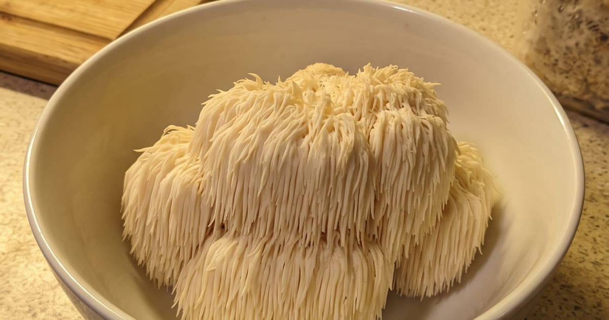 Lion's Mane vs Oyster Mushroom Grow Kits: What Buyers Should Know