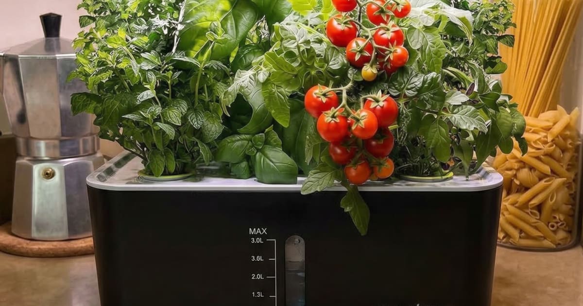 10 Crops That Actually Thrive Indoors (And 4 I'd Stop Wasting Pod Space On)
