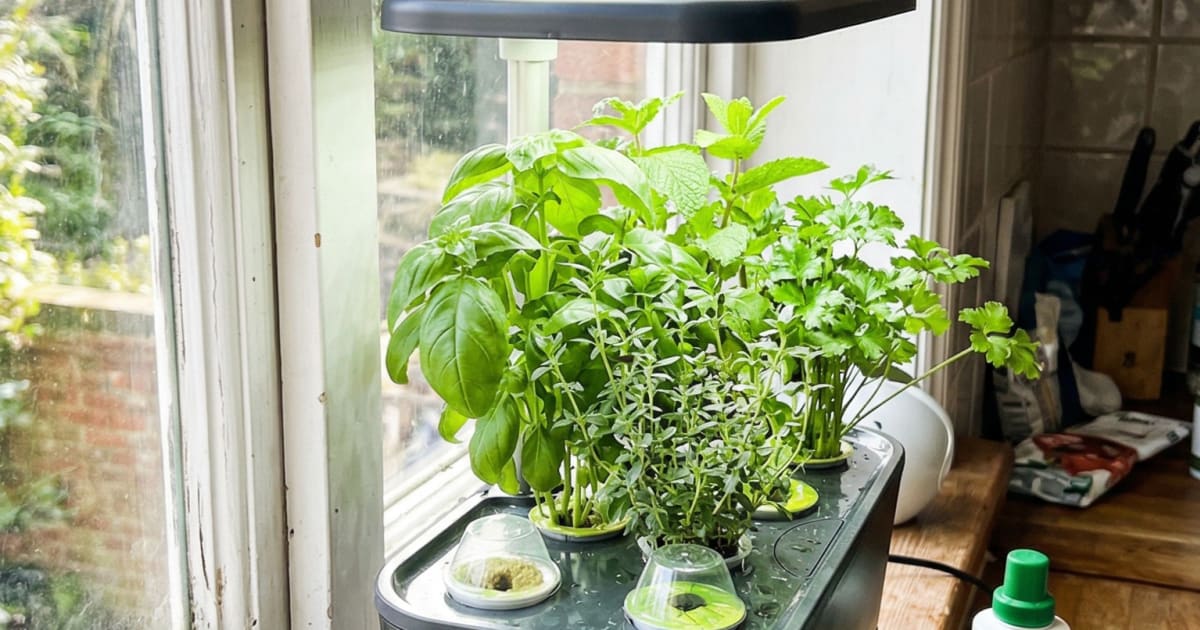 How I Set My Hydroponic Garden Lights (And Why the Default Schedule Is Wrong for Herbs)