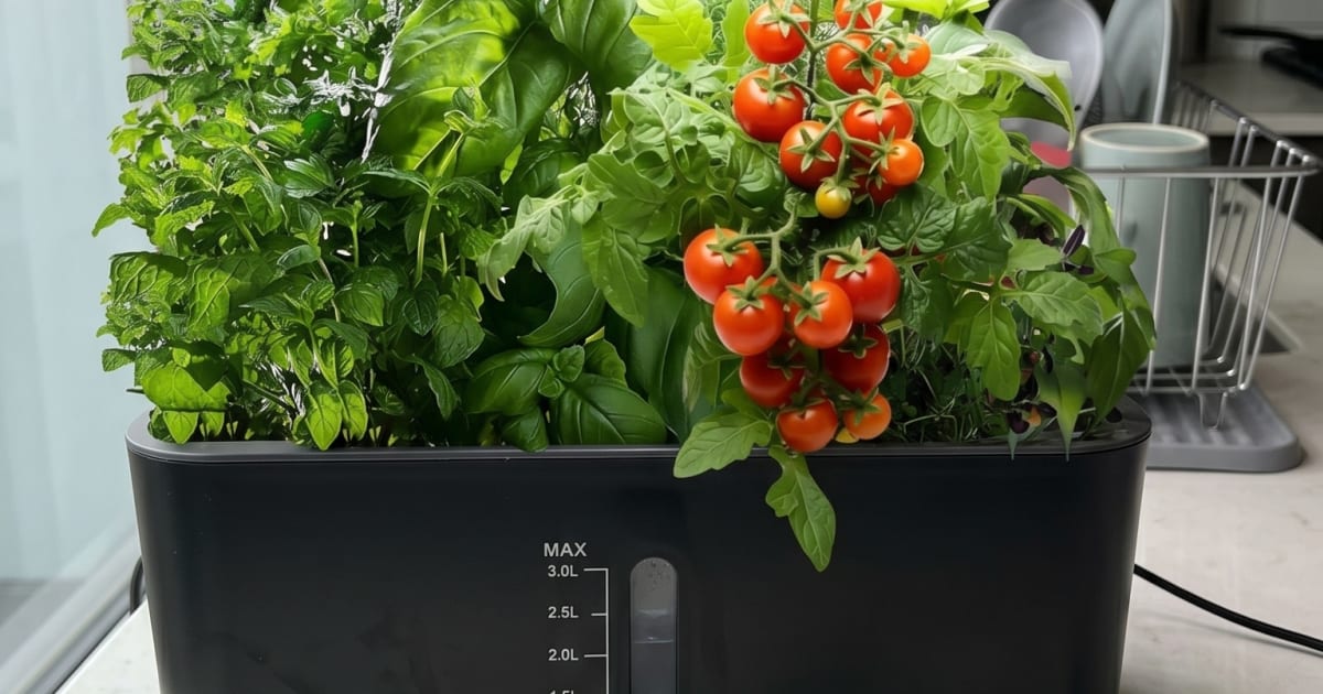 Ahopegarden Hydroponic Garden Review: What Buyers Should Know