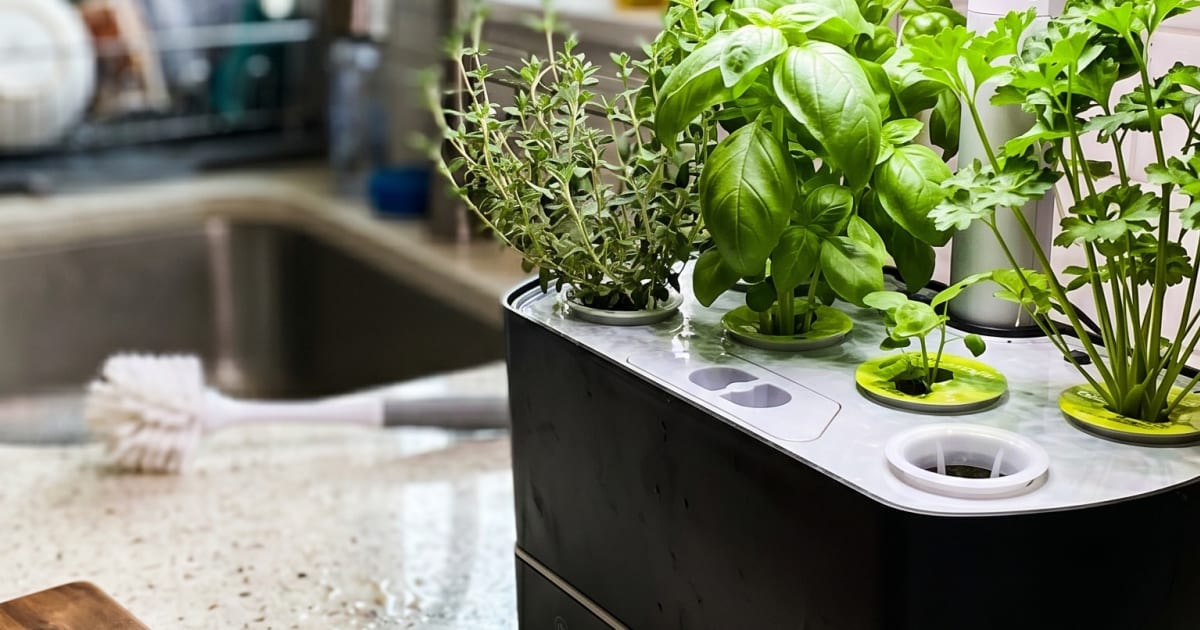 Do You Actually Need a pH Meter for Your Countertop Garden? (My Honest Answer)