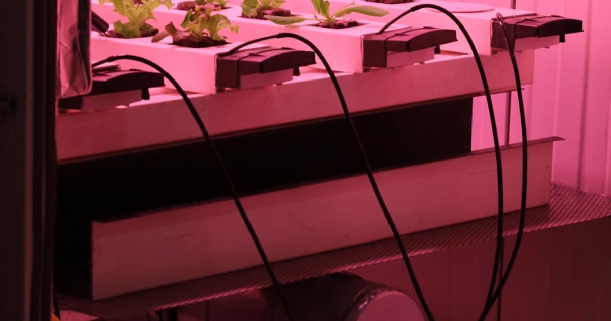 Mufga 18-Pod vs iDOO: Which Budget Hydroponic System Should You Actually Buy?
