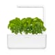 Click & Grow Smart Garden 3