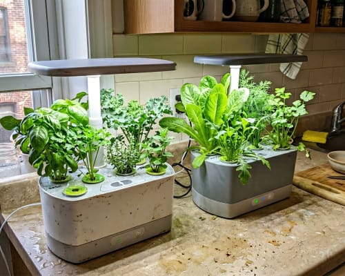 Countertop hydroponic gardens