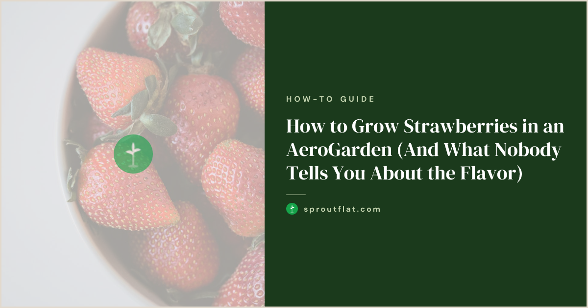 How to Grow Strawberries in an AeroGarden (And What Nobody Tells You