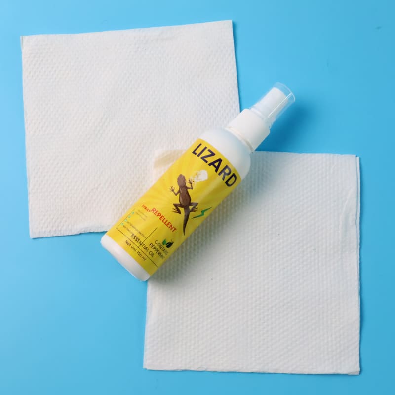 All-Natural Herbal Lizard Repellent & Pest Deterrent Spray (100ml) thumbnail 3