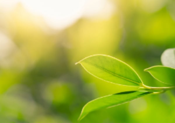 Our Eco Journey
