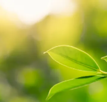 Our Eco Journey