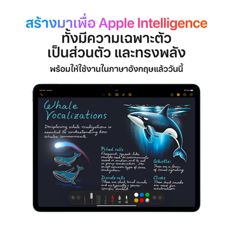 iPad Air รุ่น 13 นิ้ว (ชิป M3) 5