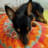 Ague Garcia avatar