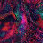 Creative. With. Art. Dutch. (C.W.A.D) avatar